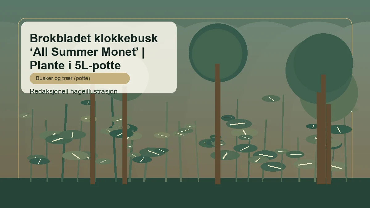 Kirjoveigela 'All Summer Monet' toimituksellisena puutarhakuvituksena suomalaisessa pensasistutuksessa
